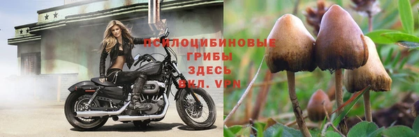 скорость Беломорск